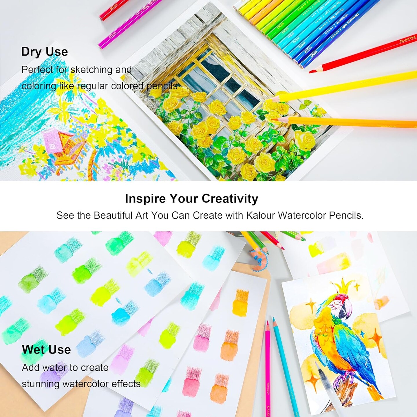 Watercolor Pencils,50 Colors, Blendable Wet or Dry, Ideal for Coloring Books and Art