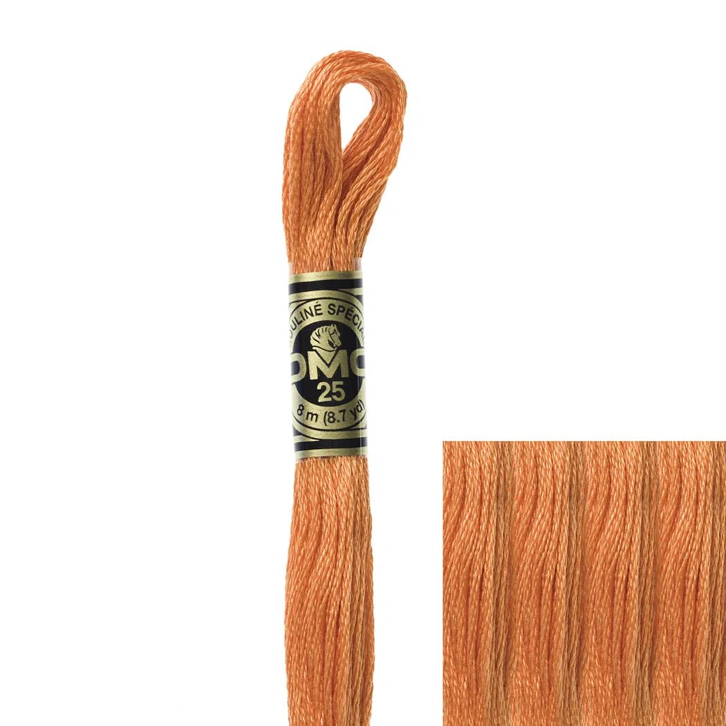 DMC Embroidery Floss, 6-Strand - Orange Spice Medium #721 | Michaels