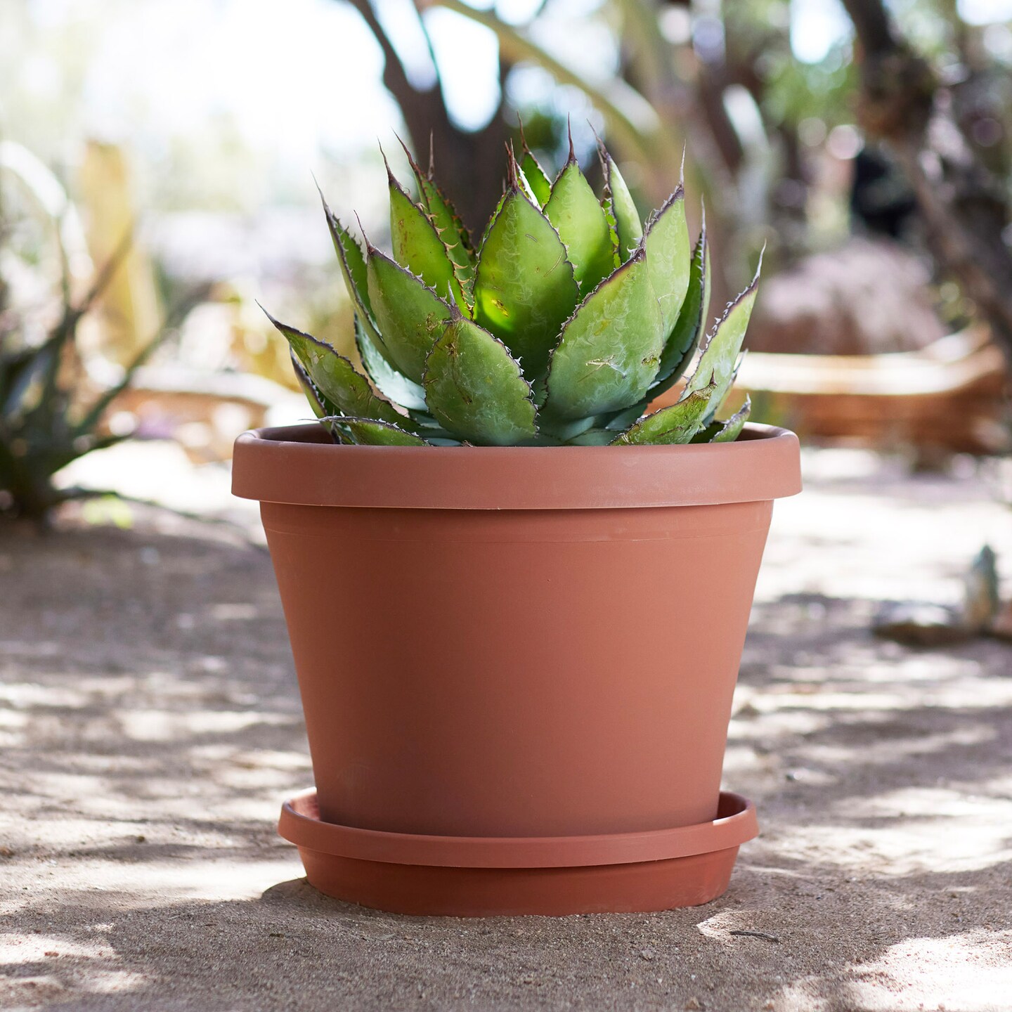 Bloem Terra Pot Planter: 16&#x22; - Terra Cotta - Durable Resin Pot, for Indoor and Outdoor Use, 8 Gallon Capacity, Saucer Sold Separately