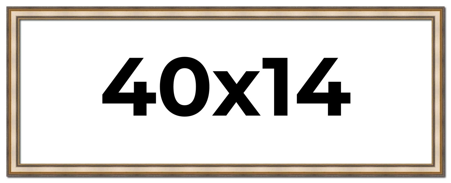 40x14 Refined Silver Picture Frame - UV Acrylic, Foam Board Backing, Hanging Hardware