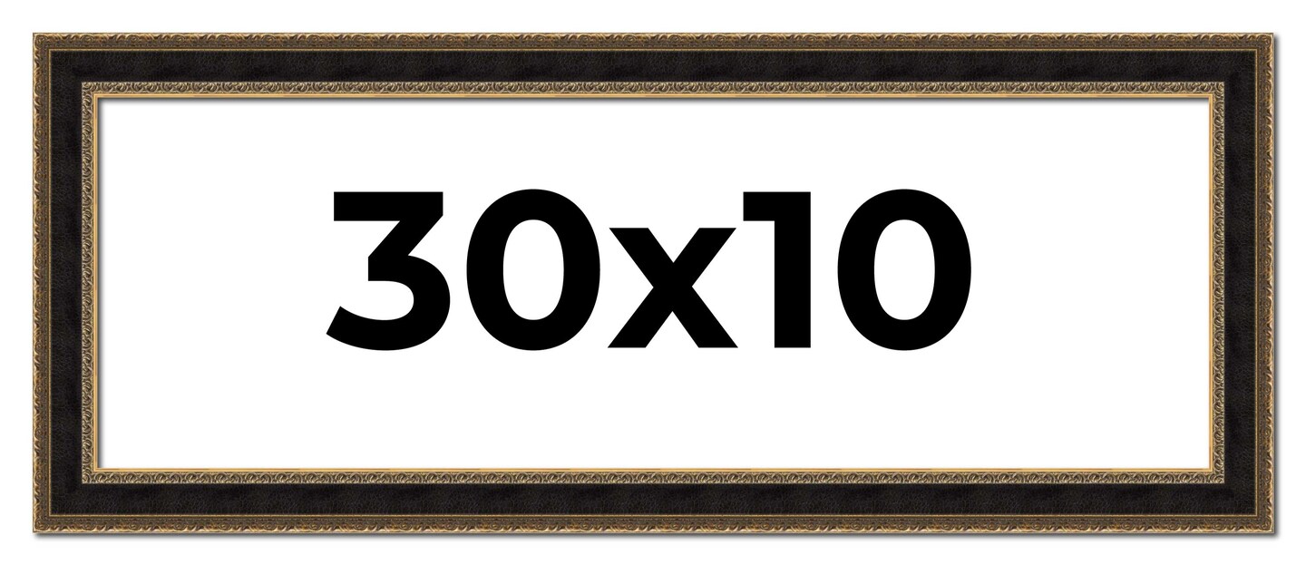 Panoramic Ornate Brown Picture Frame - UV Acrylic, Foam Board Backing, Hanging Hardware