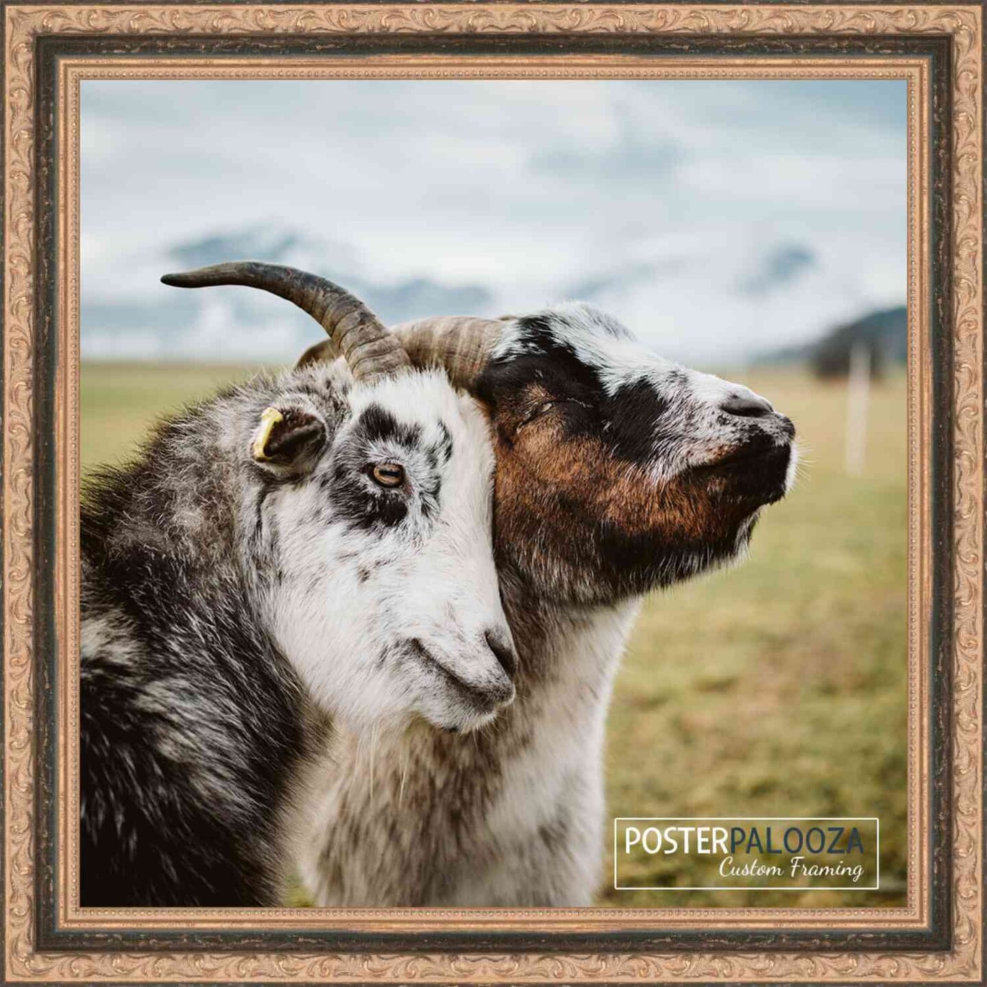 20x20 Classic Black Picture Frame - UV Acrylic, Foam Board Backing, Hanging Hardware