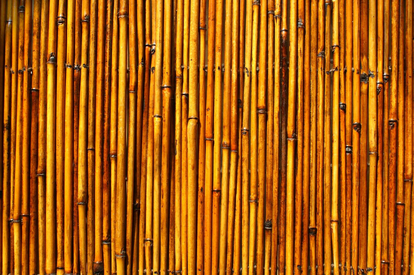 storefront banner