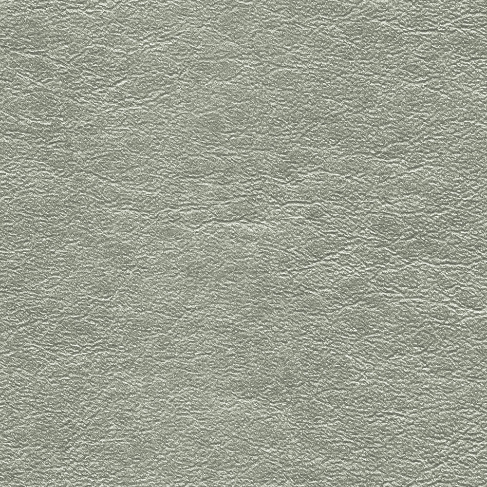 Freeport Silver