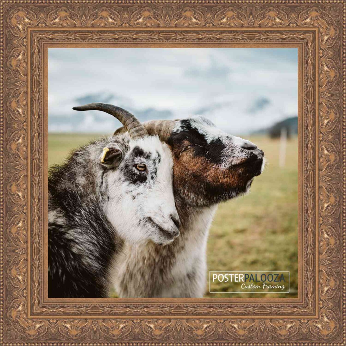 Square Museum Gold Picture Frame - UV Acrylic, Foam Board Backing, Hanging Hardware