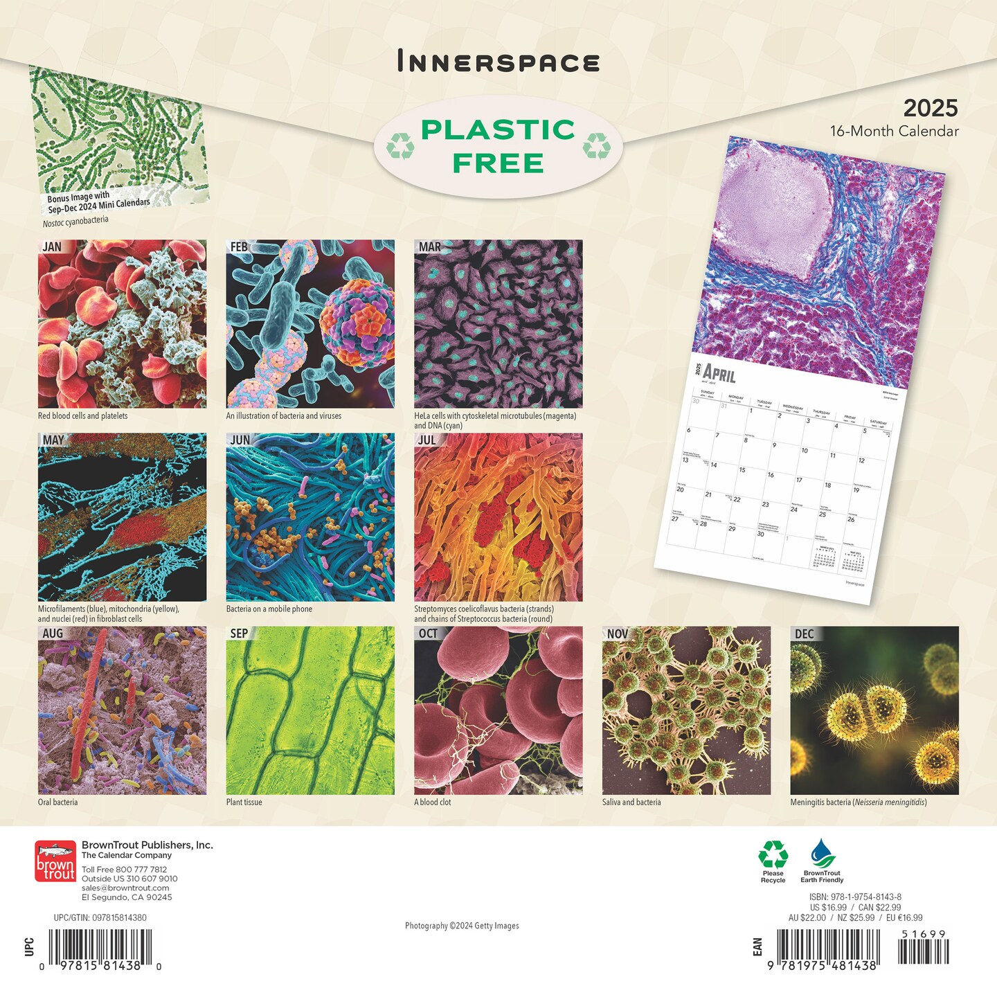Innerspace | 2025 12 x 24 Inch Monthly Square Wall Calendar | Plastic-Free | BrownTrout | Science Space Exploration Nature