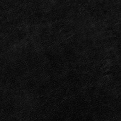 Acadia Black