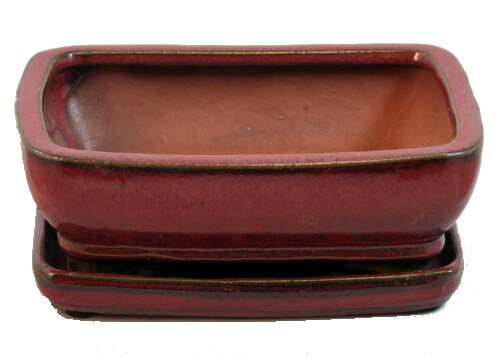 Ceramic Bonsai Pot/Attached Saucer - Parisian Red - 8" x 6.25" x 3" + Felt Feet