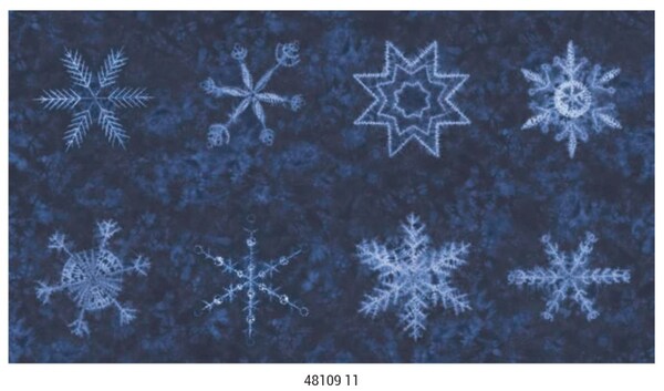 Winter Chill Fat Quarter Bundle by Debbie Maddy for Moda (48100AB)