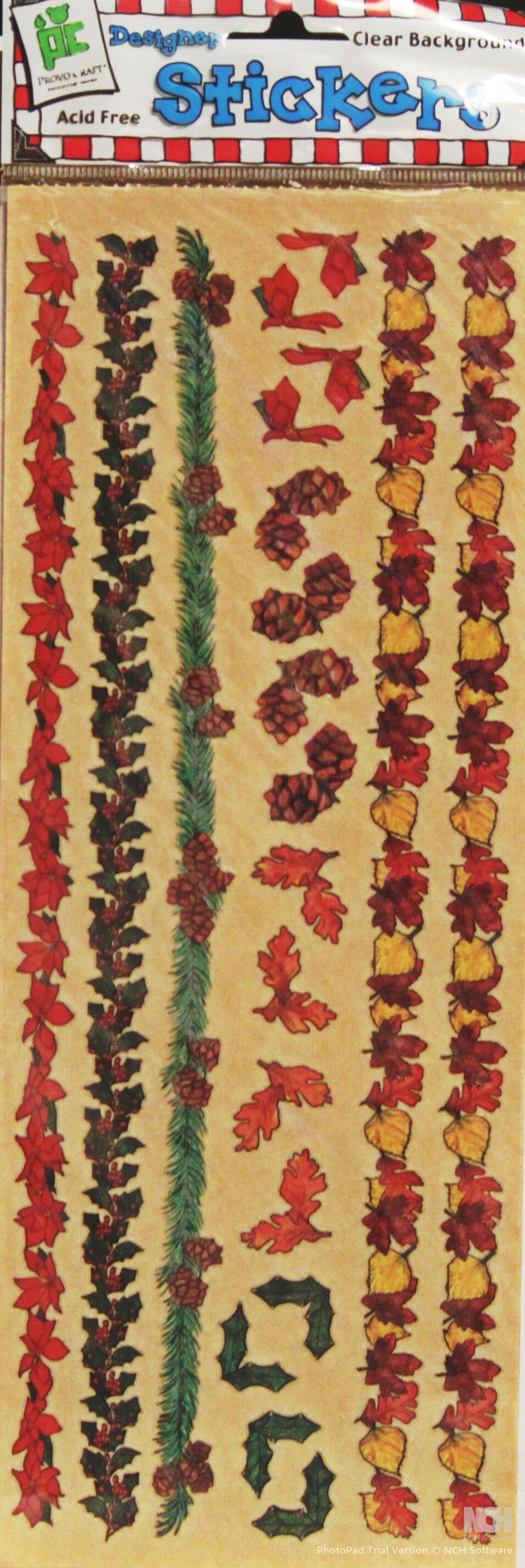 Provo Craft Winter & Fall Clear Borders & Corners Stickers | Michaels