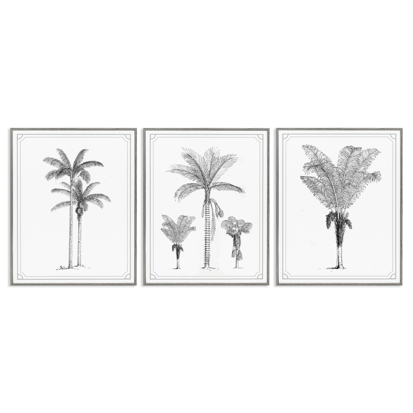 Stupell Industries Minimal Vintage Palm Tree Sketches 3pc Framed Giclee Set, design by Lettered and Lined