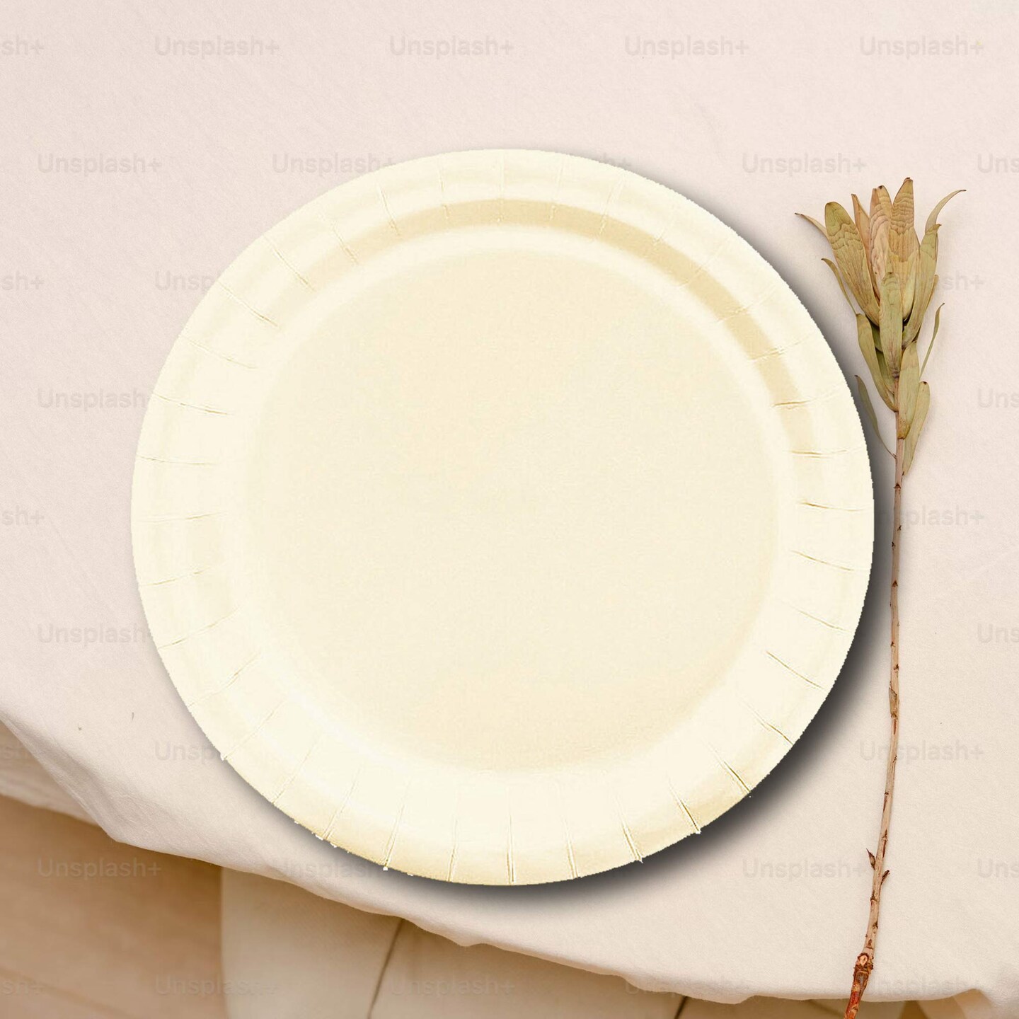 24 Count Ivory Paper Plates 7" Round Disposable Dessert Plates for Weddings and Parties