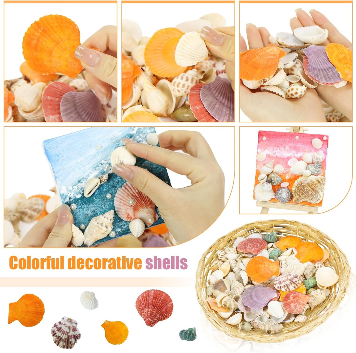 100+ Pcs Beach Seashells