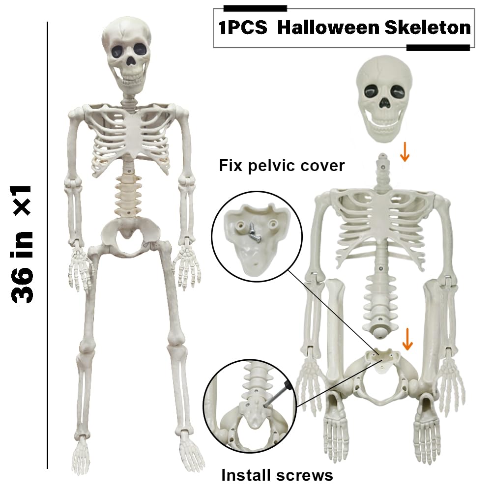 36&#x22; Skeleton Halloween Decorations, 3FT Realistic Full Body Movable Posable Joints Skeleton, Creepy Halloween Plastic Skeleton for Graveyard Decorations, Haunted House Props Indoor/Outdoor Decor