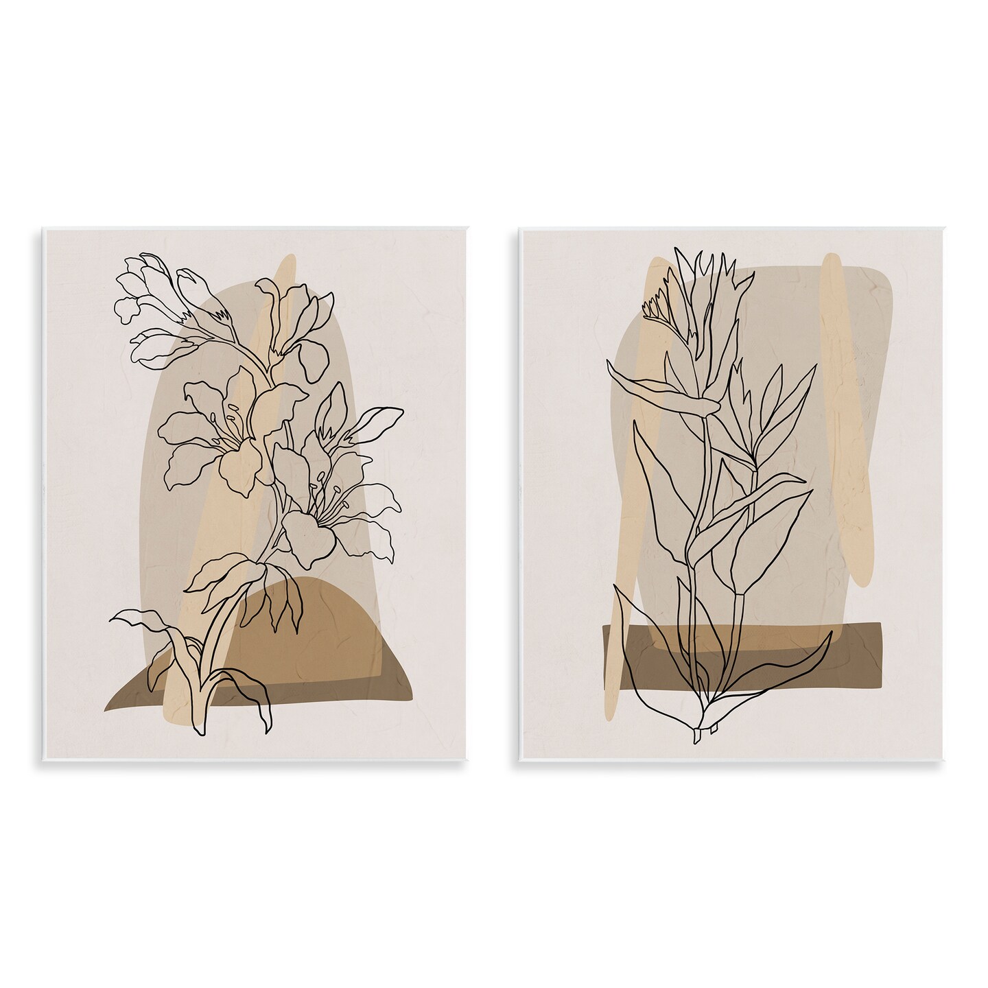 Stupell Industries Natural Flower Outlines 2 pc Wall Plaque Art Set Design by Regina Moore