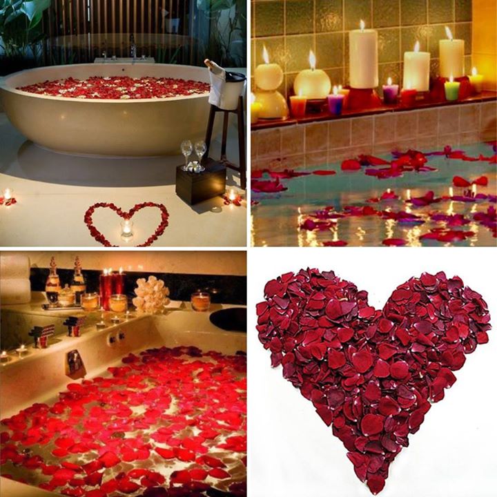 Red Eco-friendly Real Preserved Rose Petals 30 cups product 7