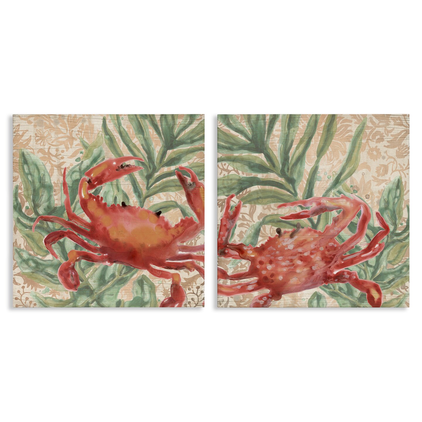 Stupell Industries Red Crab & Seaweed 2 pc Canvas Wall Art Set Design by June Erica Vess