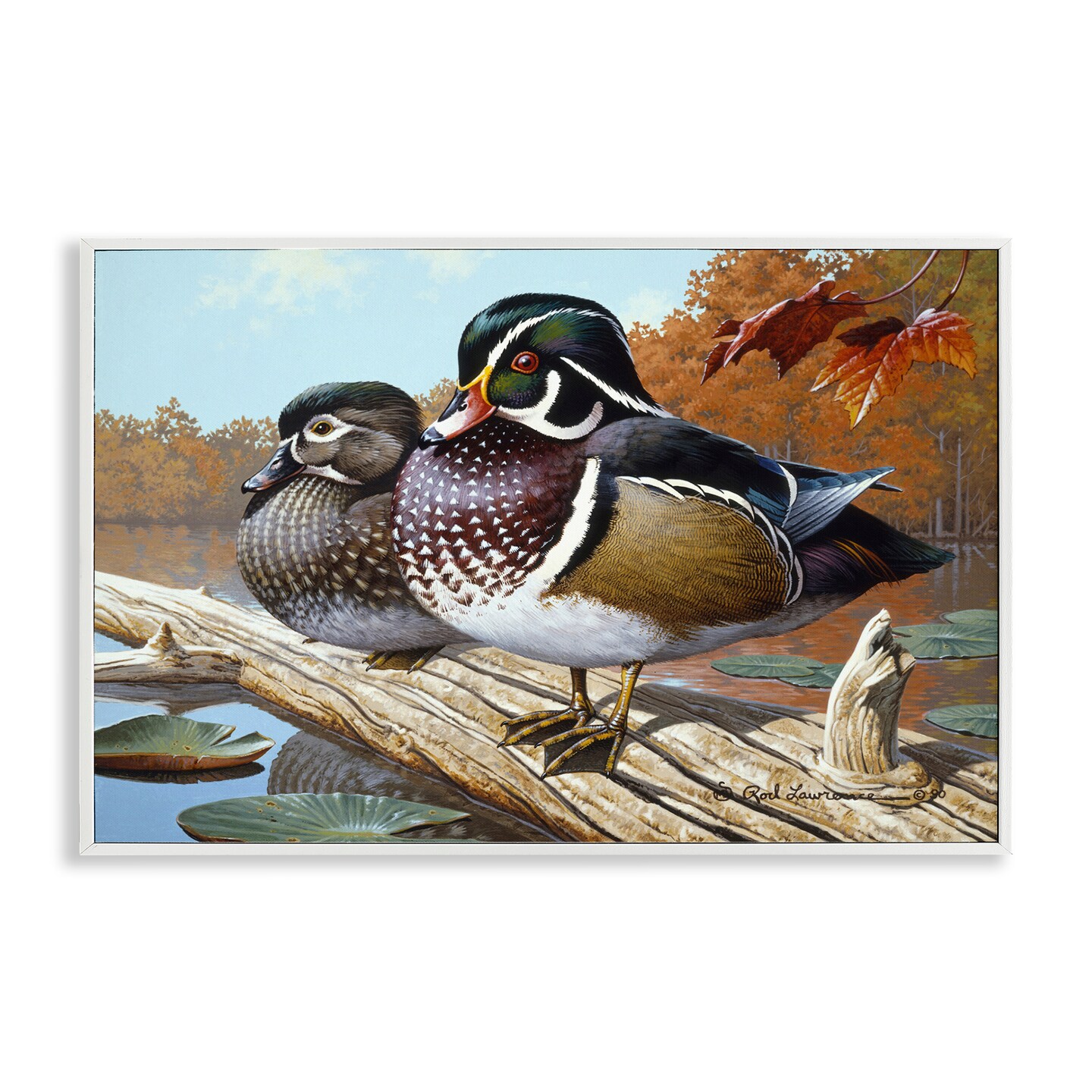 Stupell Industries Duck Pair on Driftwood Framed Giclee Wall Art