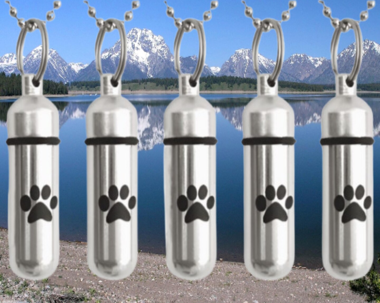product name is Five Silver CREMATION URN Necklaces, includes Engraved Paws, on 24" Steel Ball Chains - Includes Velvet Pouches and Fill Ki