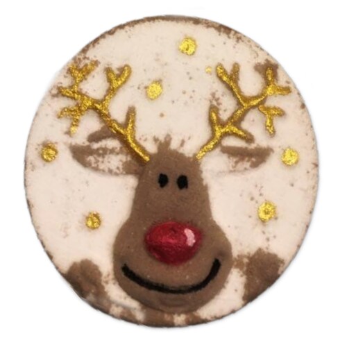 Rudolph the Reindeer - DB Bath Bomb Moulds