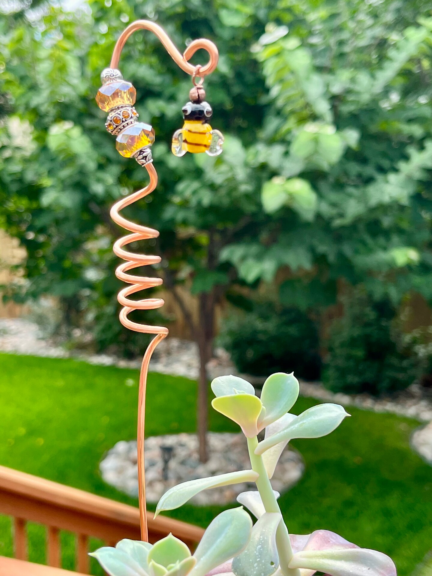 wann trägt ein olivenbaum früchte Olivenbaum Hochstamm kaufen main image 1