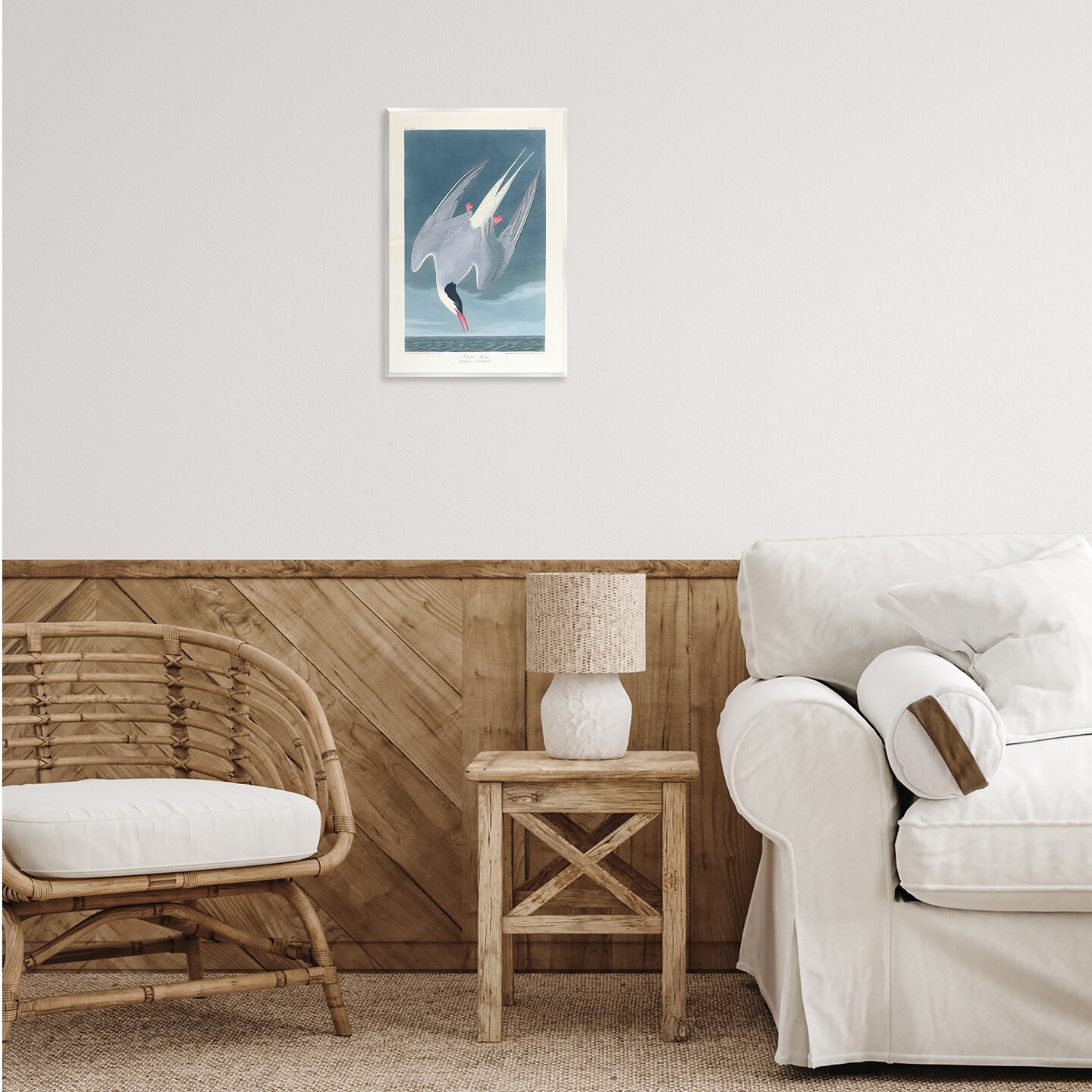 Stupell Industries Classic Arctic Tern Bird Wall Plaque Art Design by one1000paintings