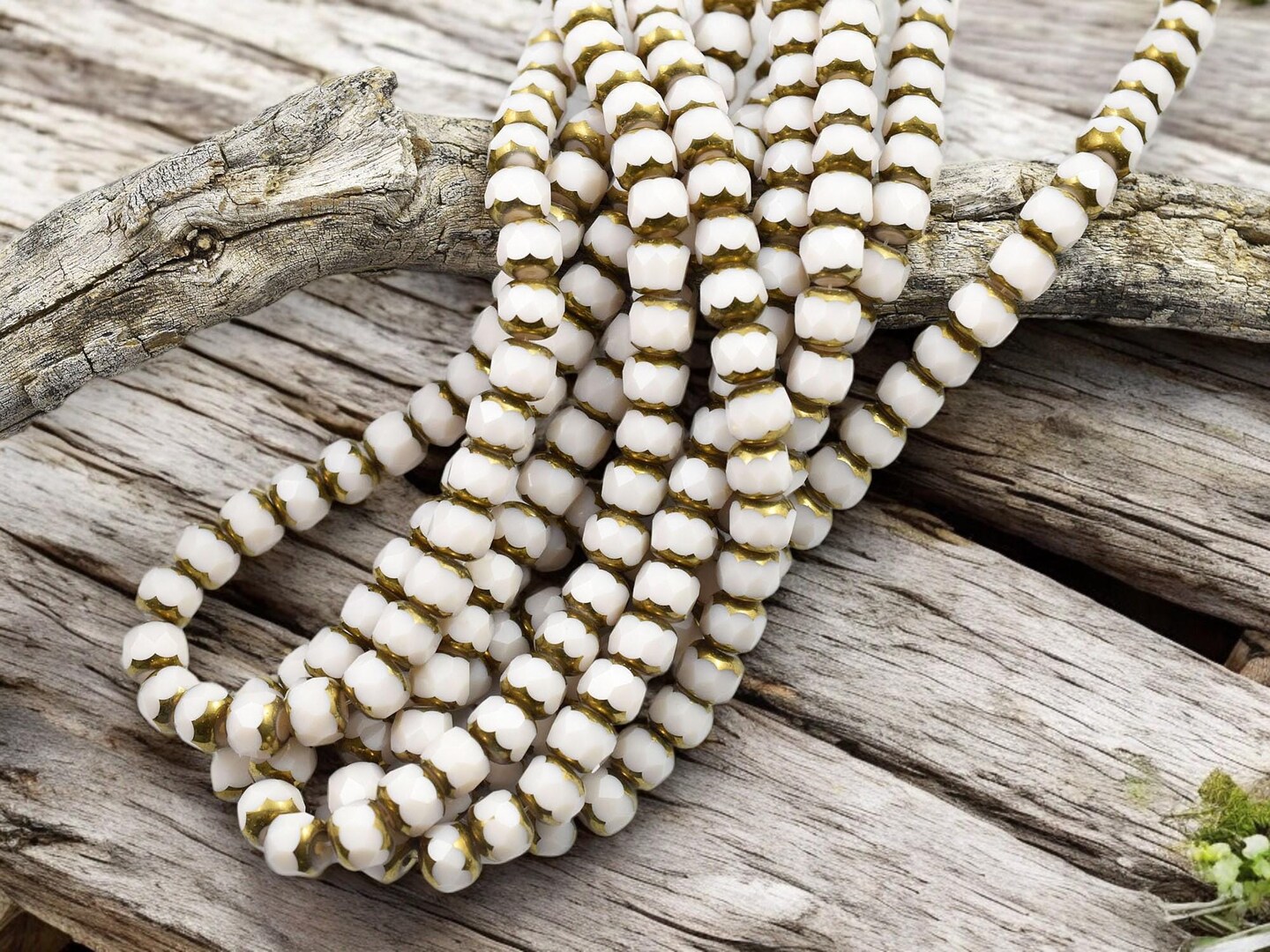 6x8mm Bronze Electroplated Opaque Ivory Faceted Rondelle Beads (15.75" strand)