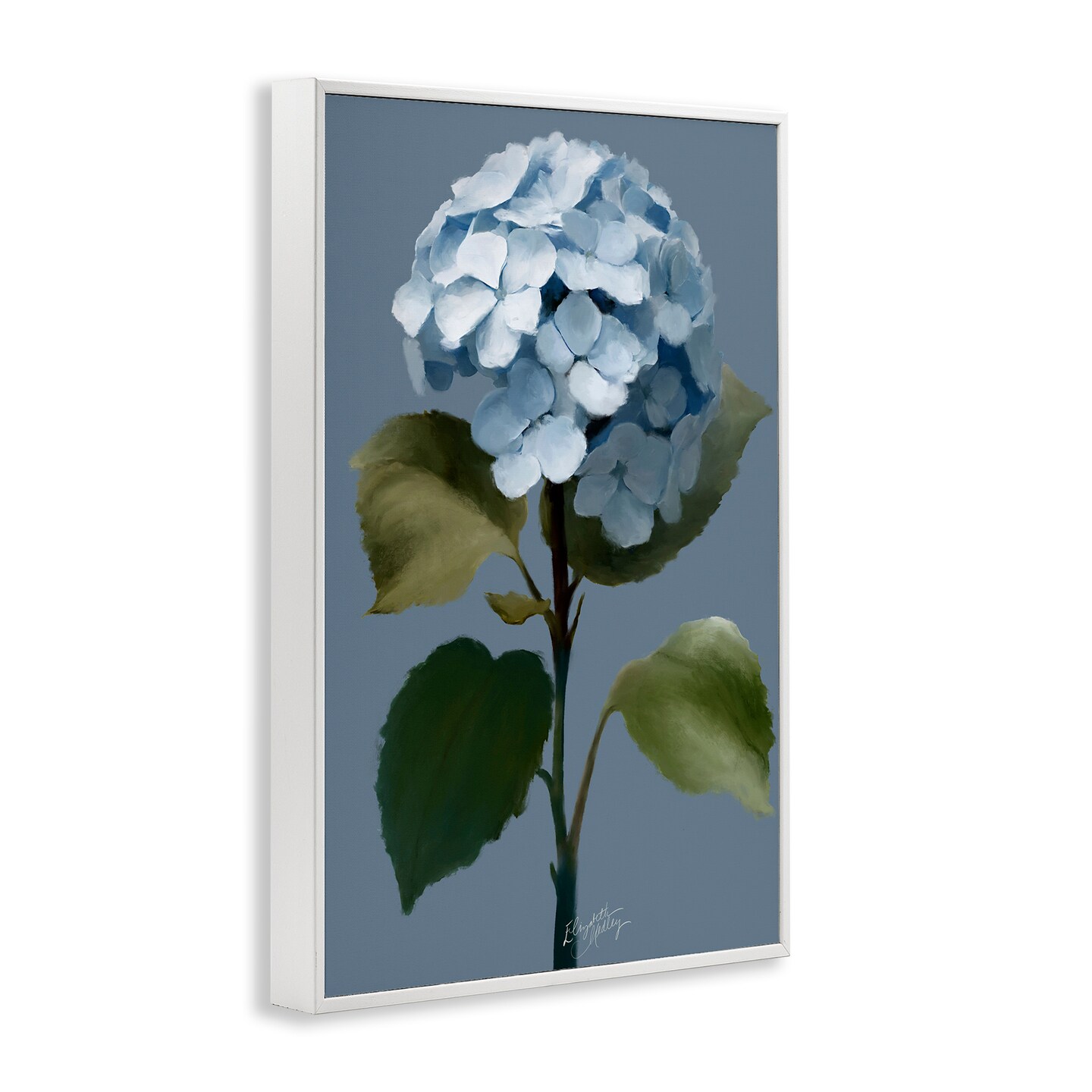 Stupell Industries Delicate Blue Hydrangea Framed Giclee Wall Art Design by Elizabeth Medley