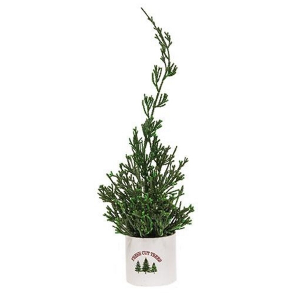Mini Cypress Tree In &#x22;fresh Cut Trees&#x22; Pot