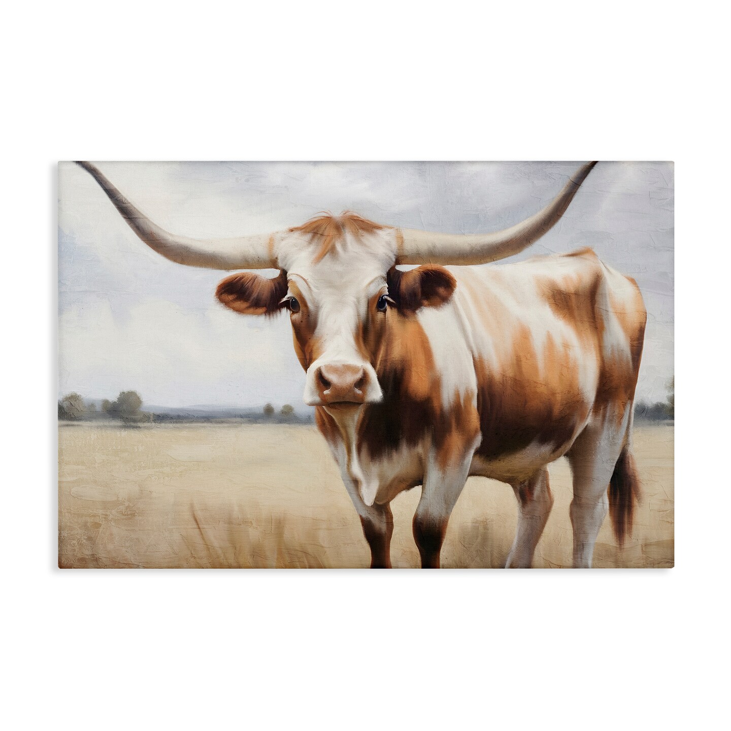 Stupell Industries Spotted Brown Longhorn Canvas Wall Art Design by Kim Allen