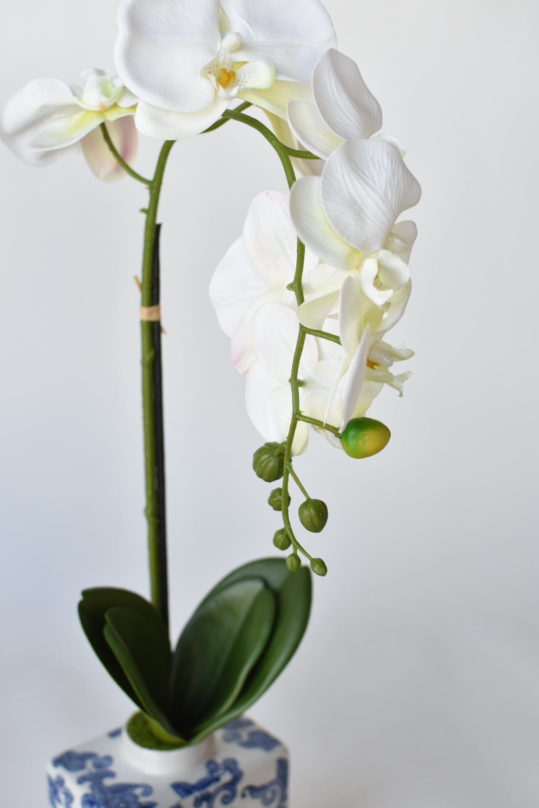 22&#x22; Faux Phalaenopsis Orchid in Blue/White Container - 1OR