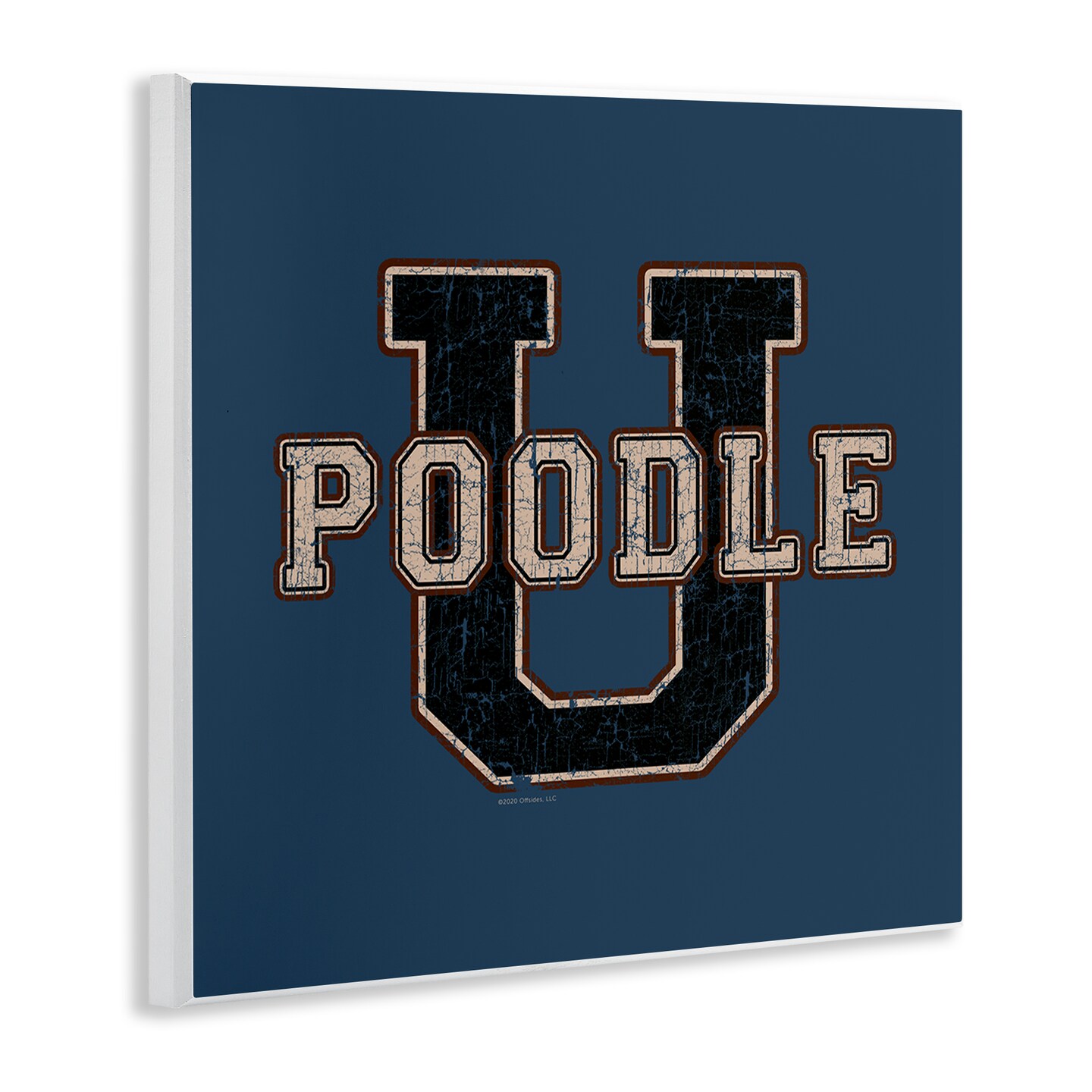 Stupell Industries Varsity Poodle U Wall Plaque Art Design by Spirit Animals/Life Is High