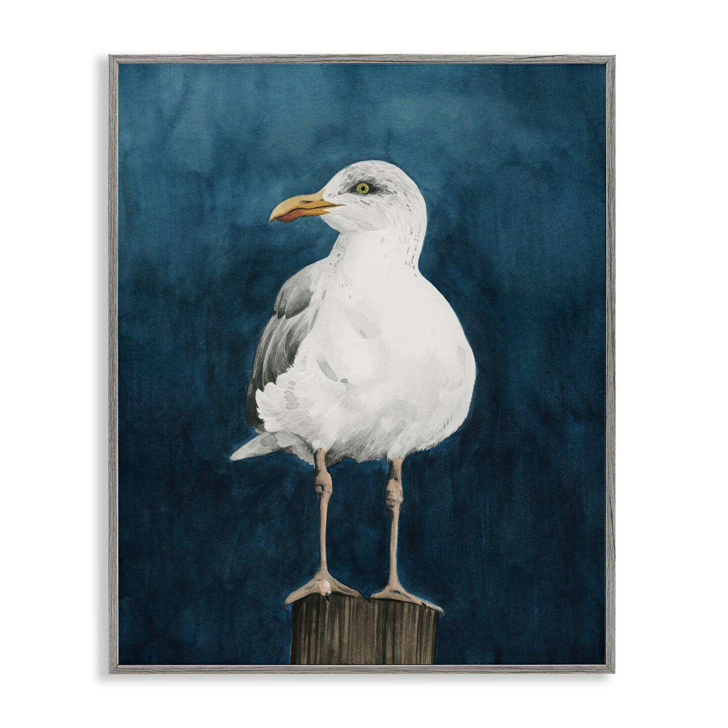 Stupell Industries Perched Coastal Bird Framed Giclee Wall Art Design by Grace Popp