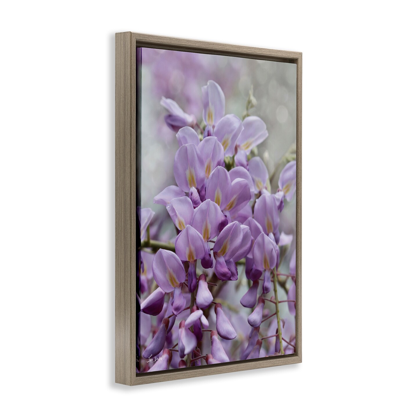 Stupell Industries Purple Orchid Petals Framed Floater Canvas Wall Art Design by Lori Deiter