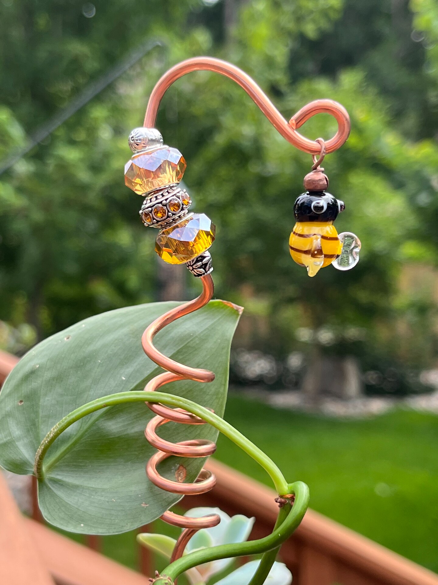 live hanging plants Succulent Hanging Basket 3-pack: Trailing Succulents - Easy Plant Care -  (3.5