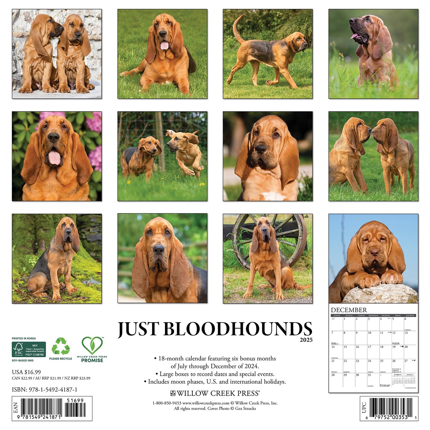Bloodhounds 2025 Wall Calendar