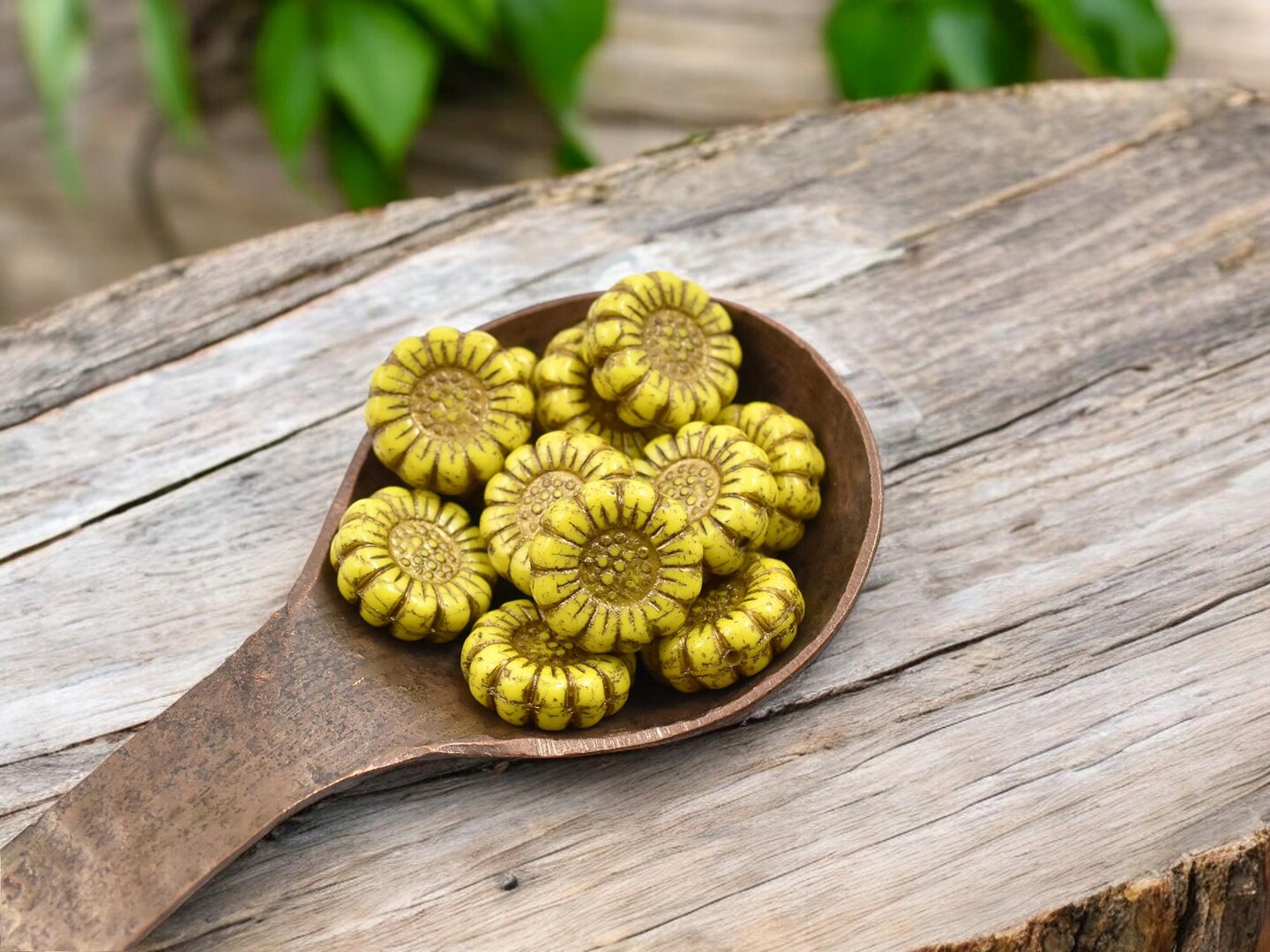 *12* 13mm Dark Bronze Washed Opaque Yellow Sunflower Coin Beads