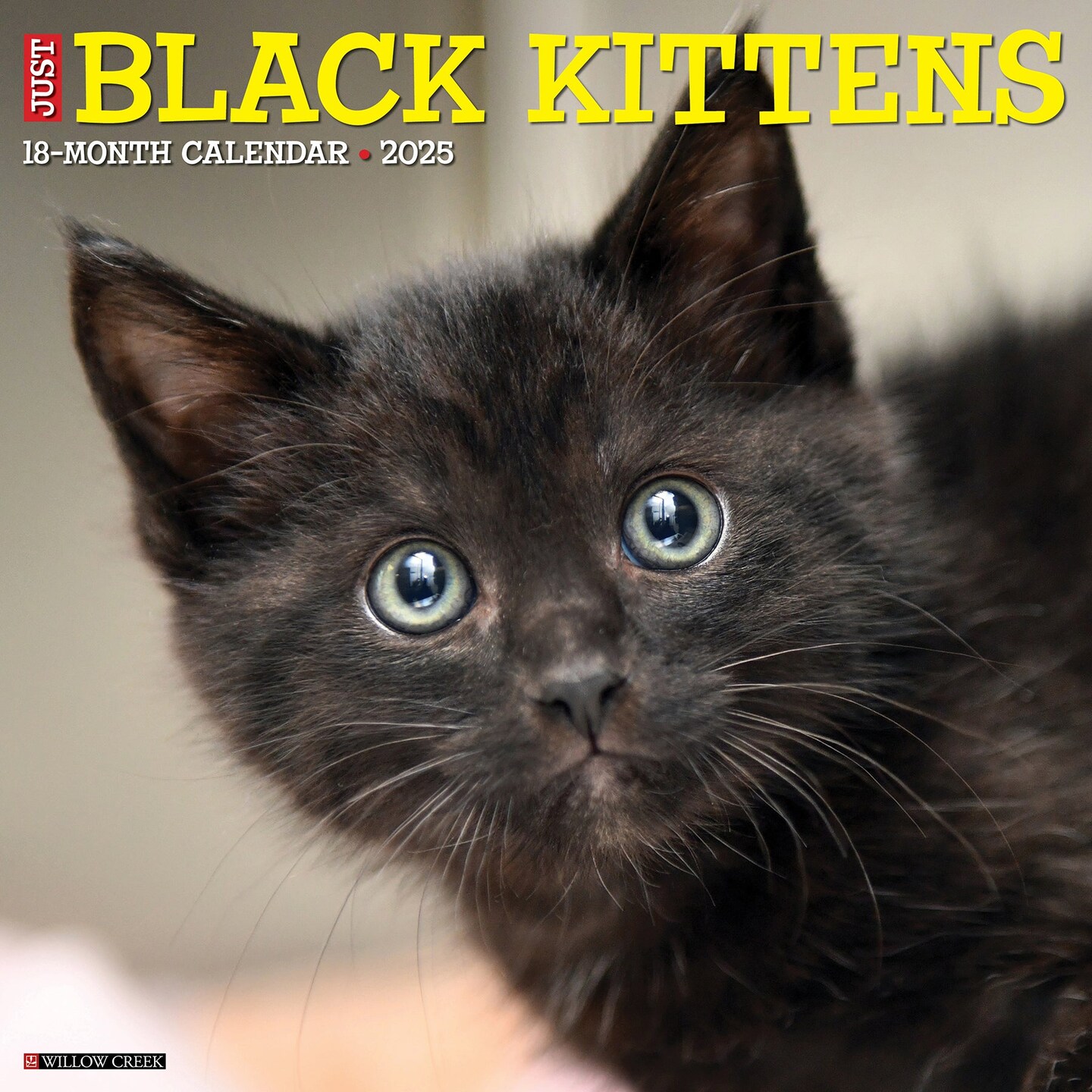 BrownTrout, Black Cats 2025 Wall Calendar