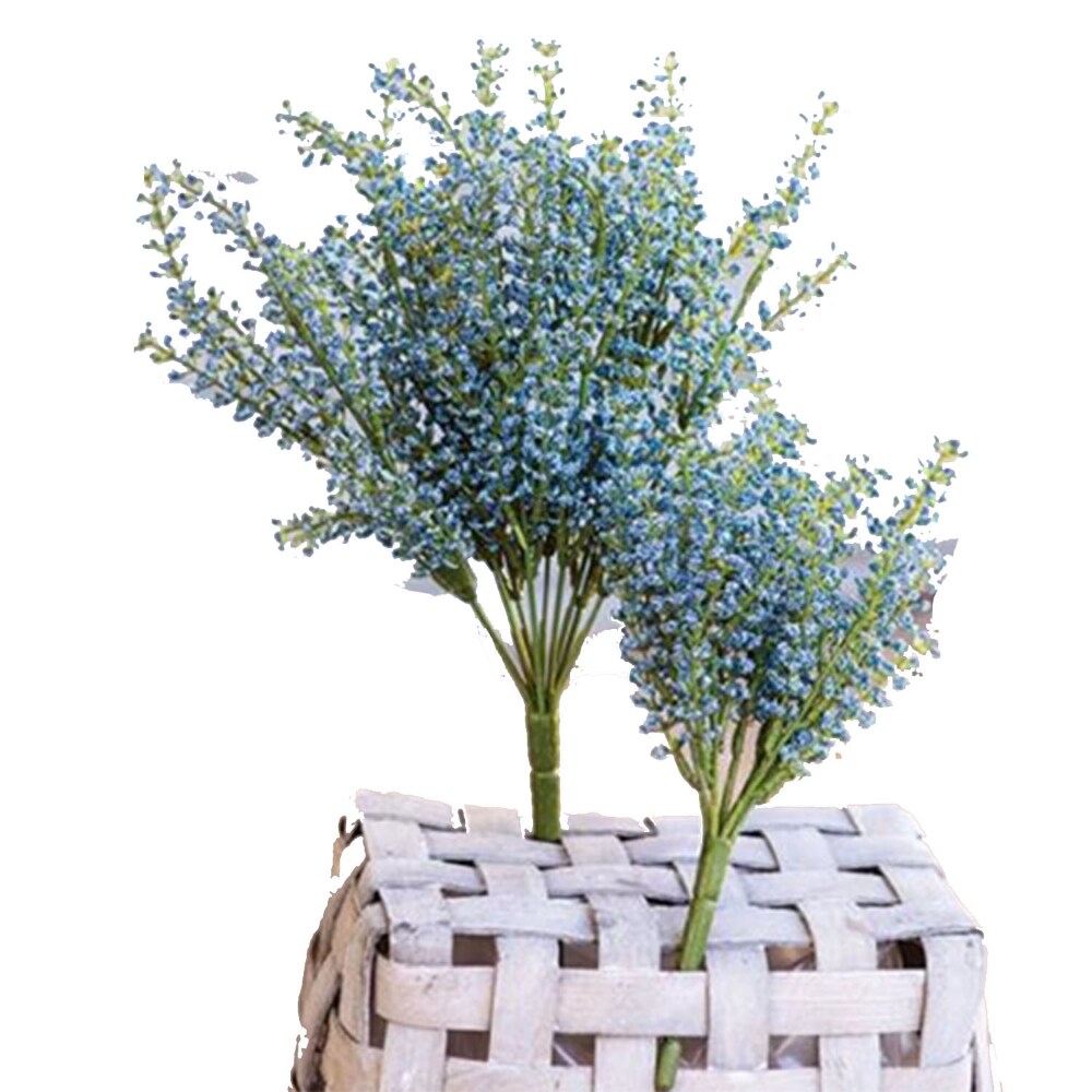 Bursting Astilbe Bush Sky Blue 14&#x22;