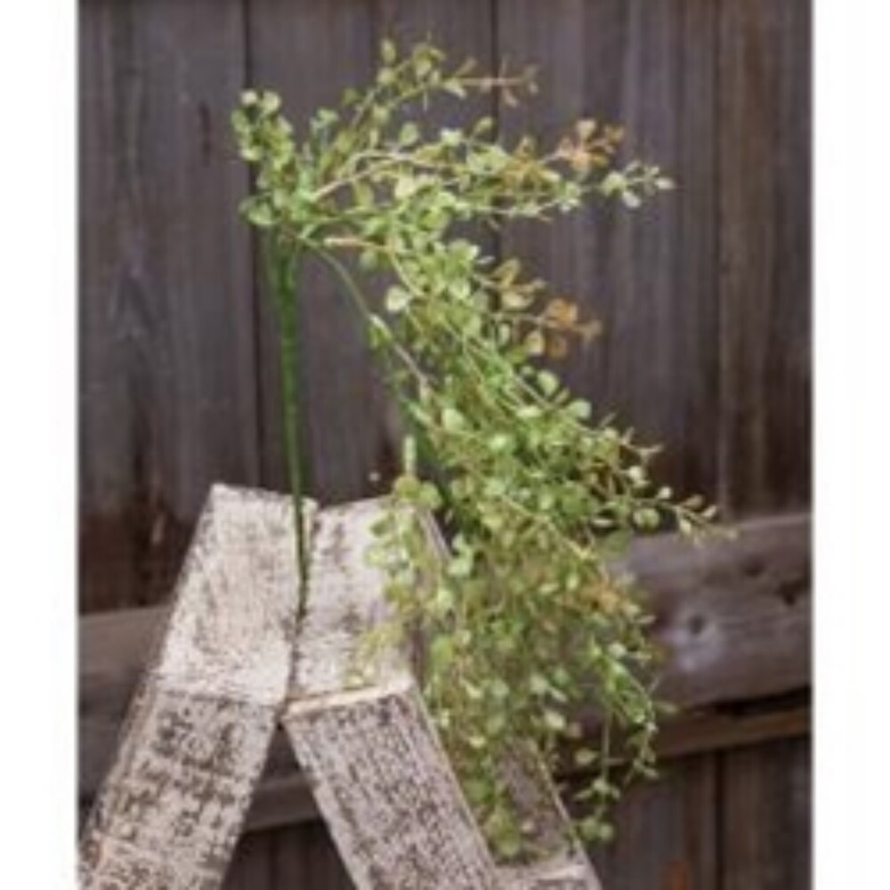 19&#x22; Light Green Hanging Pepper Grass Bush with Small Rounded Leaves
