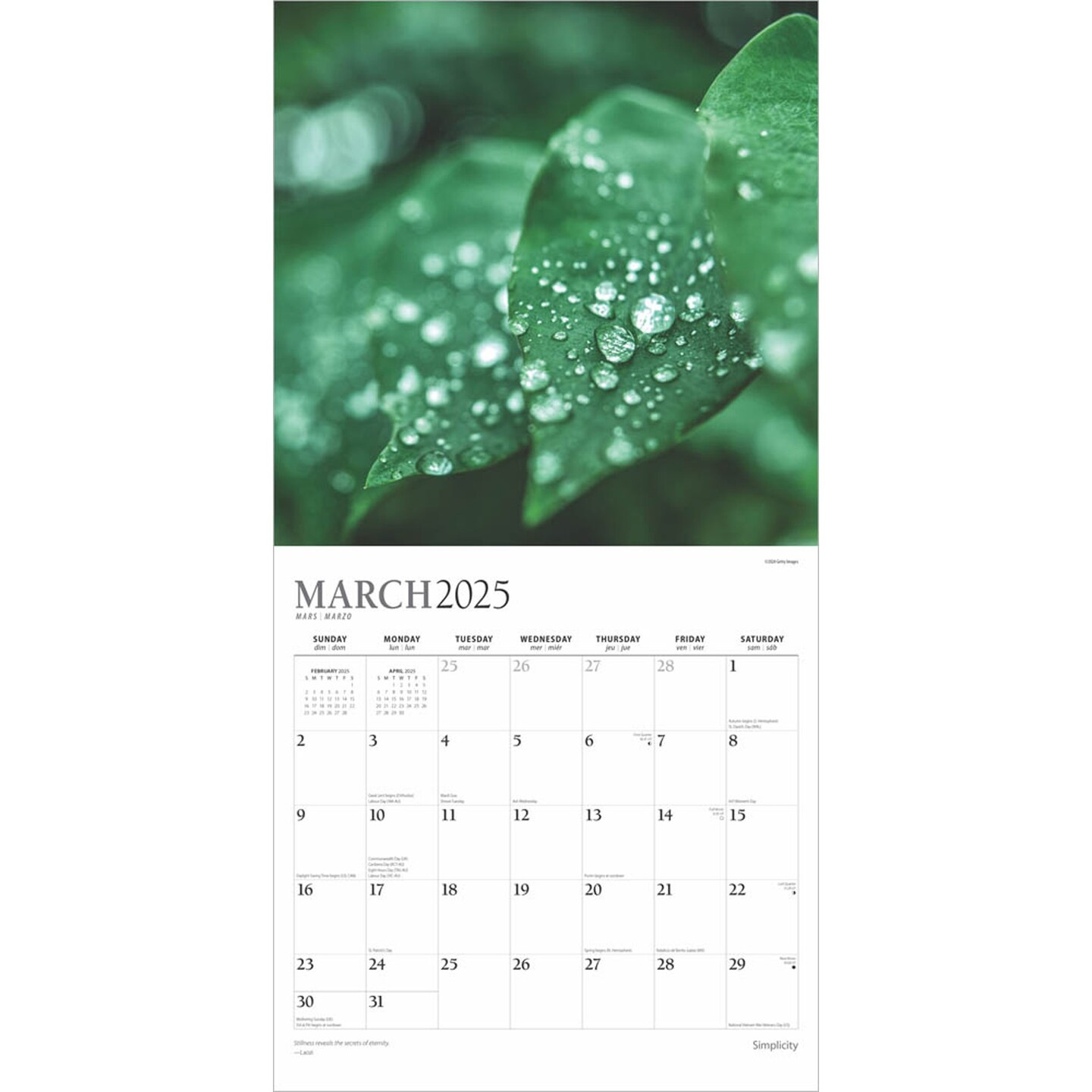 Simplicity | 2025 12 x 24 Inch Monthly Square Wall Calendar | Foil Stamped Cover | Plato | Inspiration Photography 