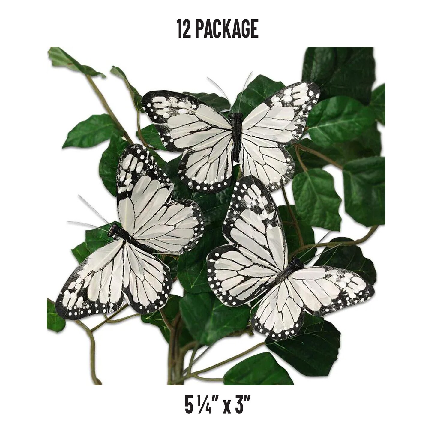 Large Black and White Monarch Butterflies 5 1/4 &#x27;&#x27; &#xD7; 3 &#x27;&#x27;