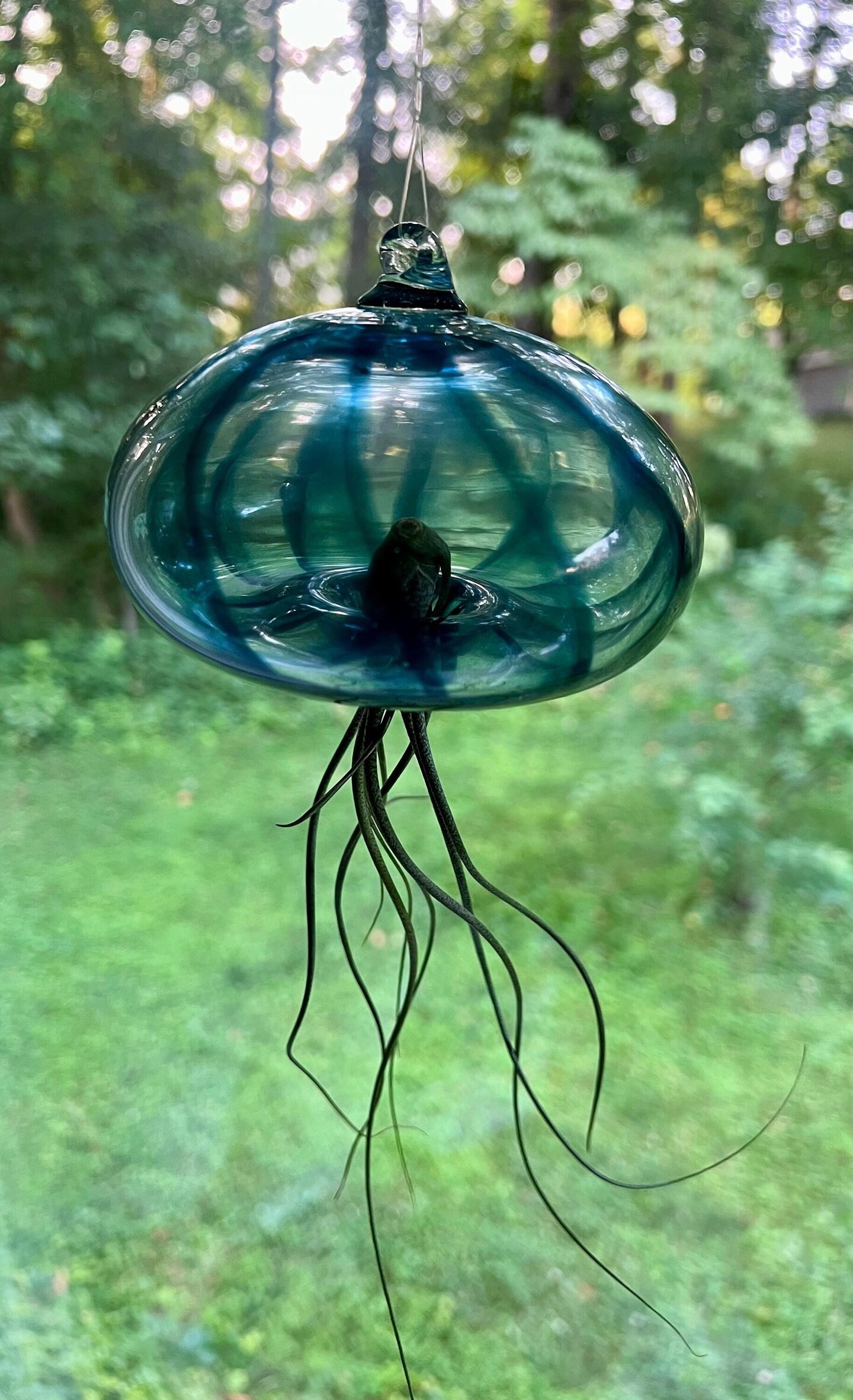 Handblown glass jellyfish with air plant | MakerPlace by Michaels