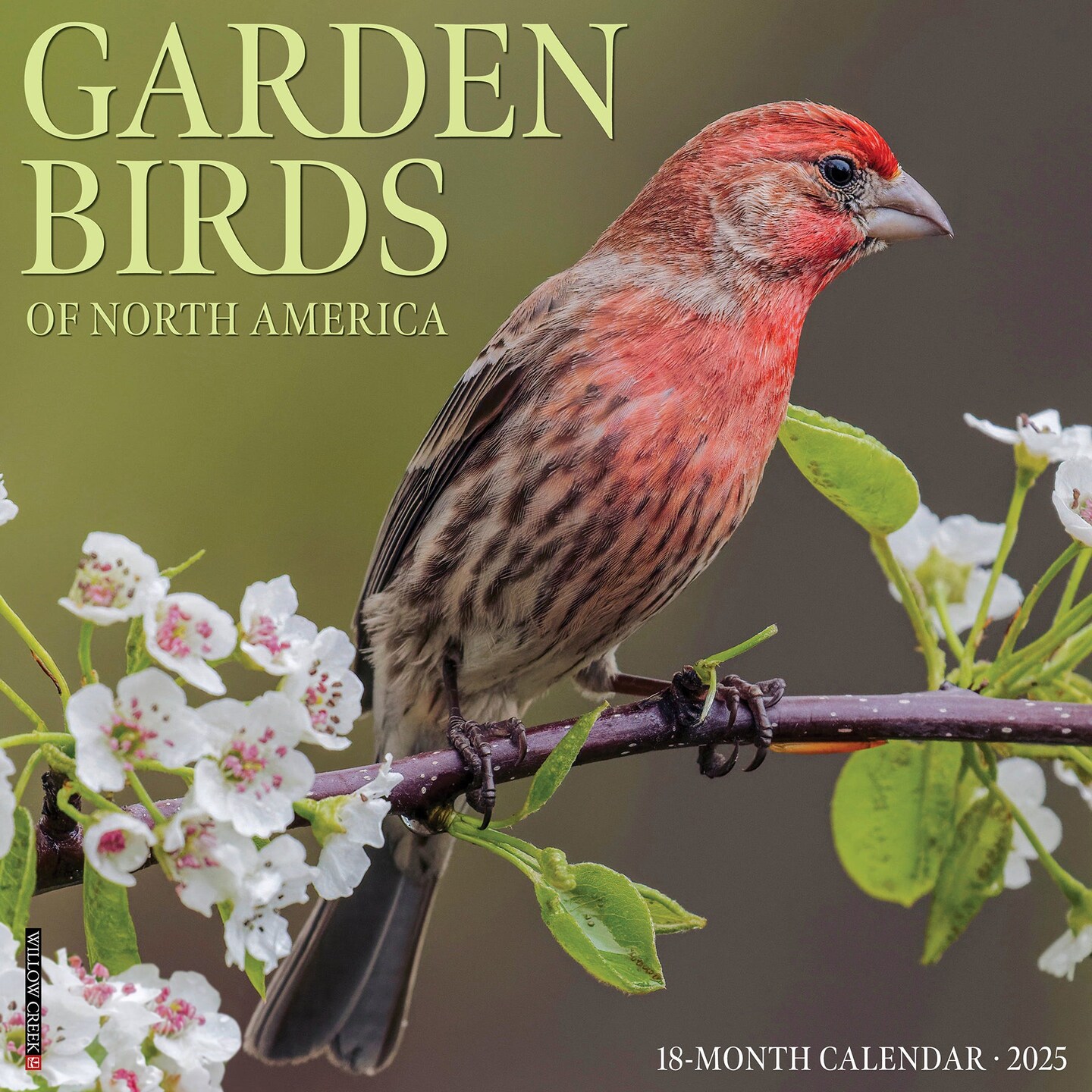 Garden Birds 2025 Wall Calendar | Michaels