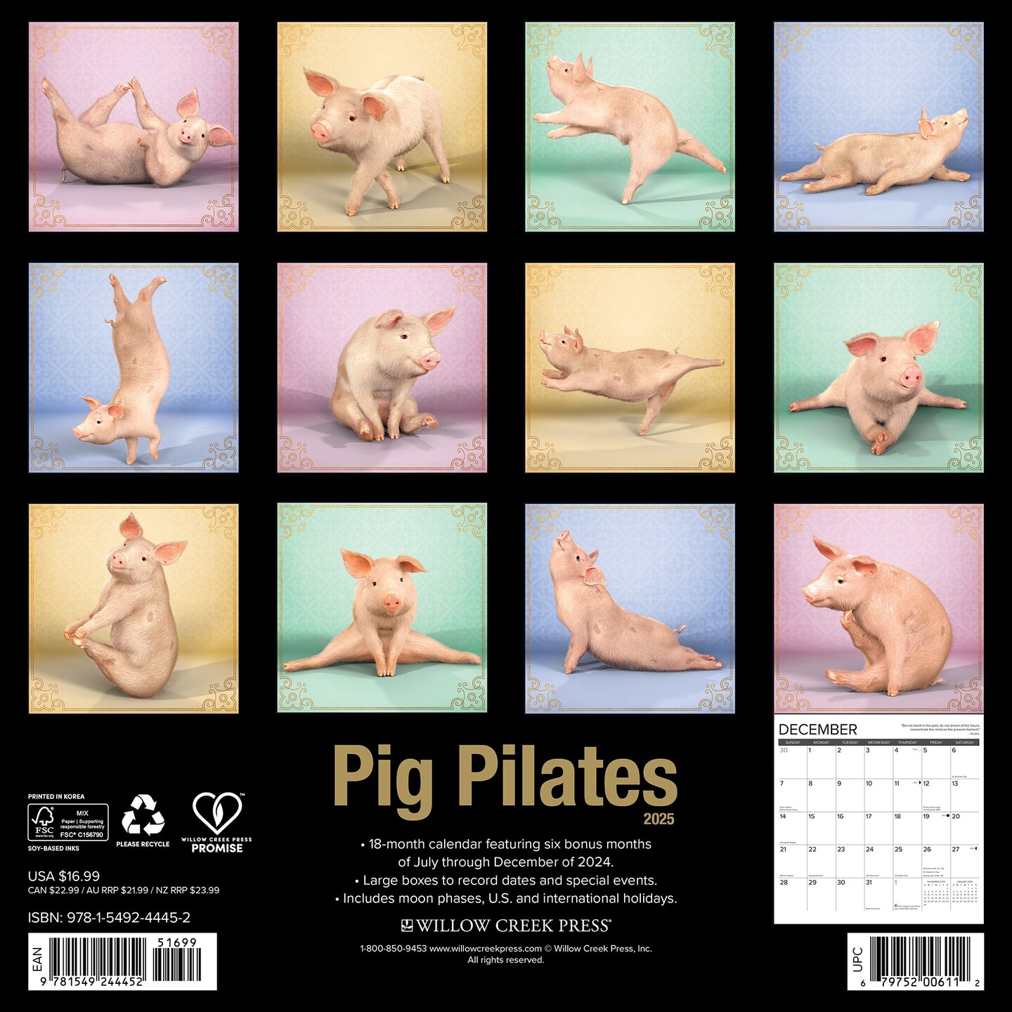 Pig Pilates 2025 Wall Calendar
