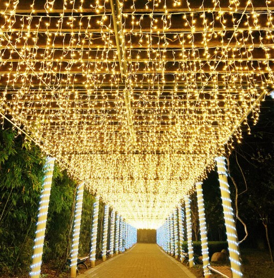 Perfect Holiday 96 LED Curtain Solar Lights
