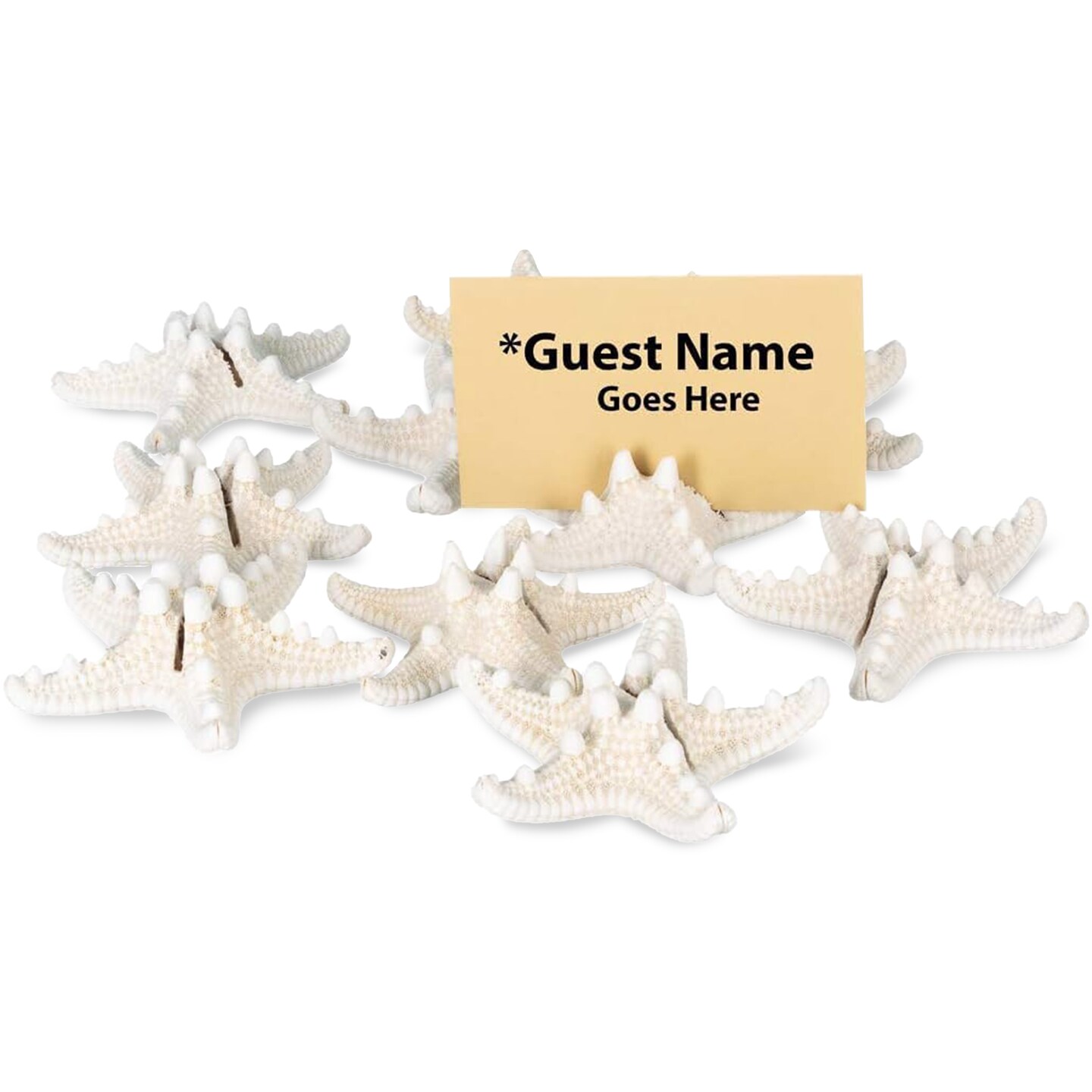 Starfish Place Card 10 Knobby Starfish Holder Set for Beach