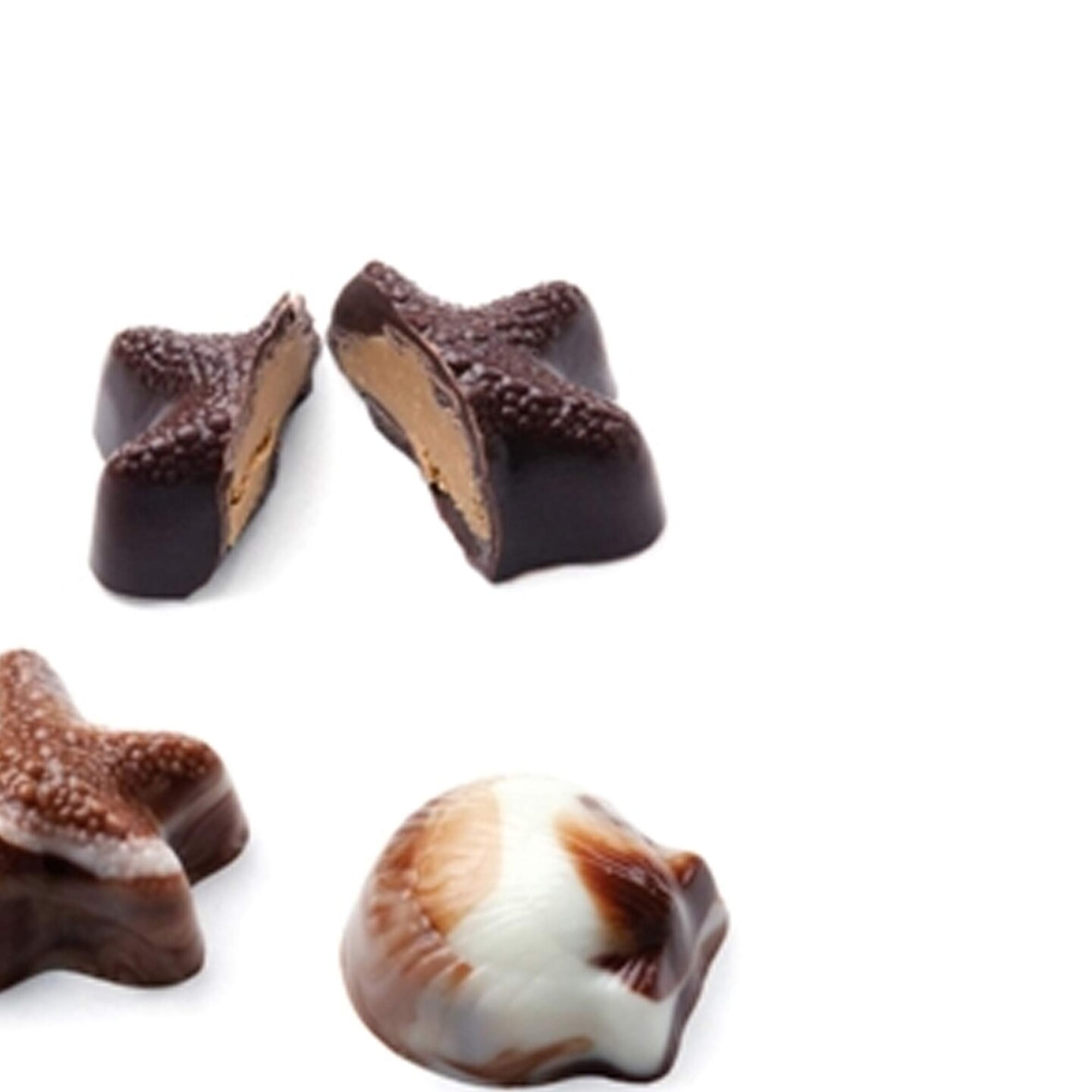 Seashell Continental Chocolate Mold for Elegant Party Favors
