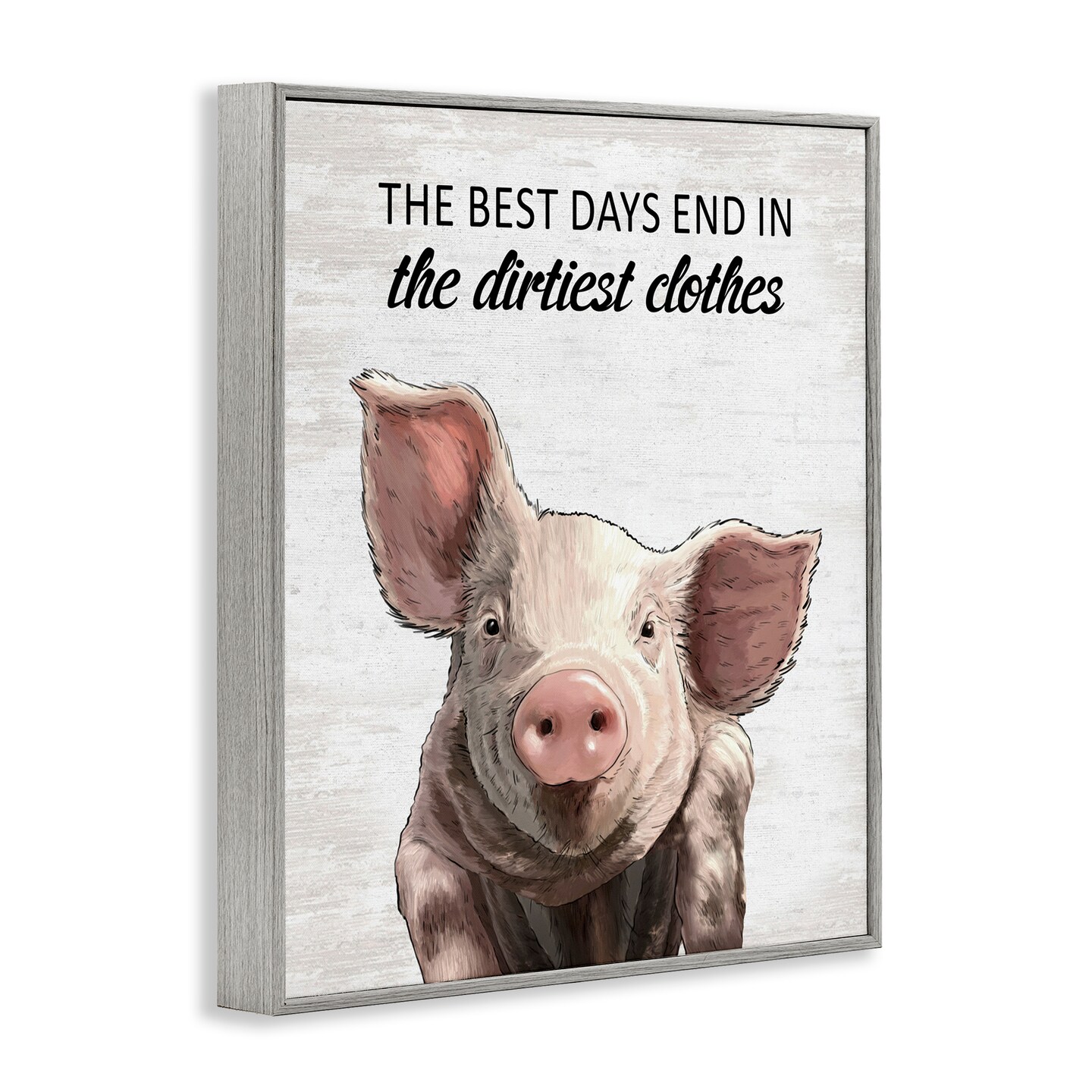 Stupell Industries Best Days & Dirtiest Clothes Pig Framed Giclee Design by Lettered and Lined