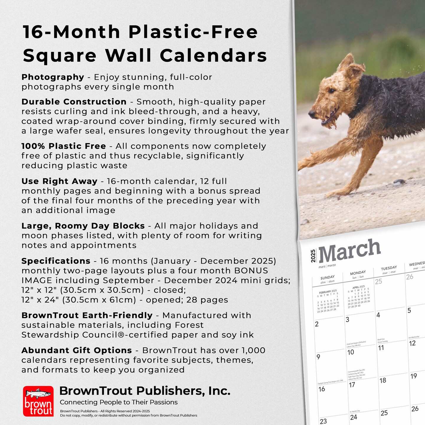 Airedale Terriers | 2025 12 x 24 Inch Monthly Square Wall Calendar | Plastic-Free | BrownTrout | Animal Dog Breeds